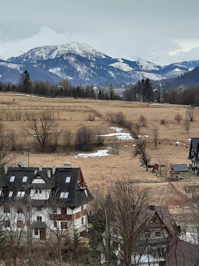Willa U Magdy Zakopane Eksteriør bilde